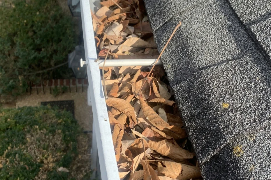 Gutter Cleaning Hillview