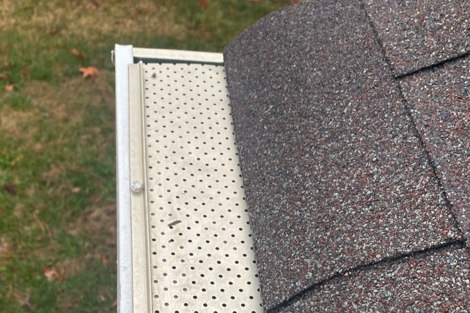 Gutter Cleaning Hillview