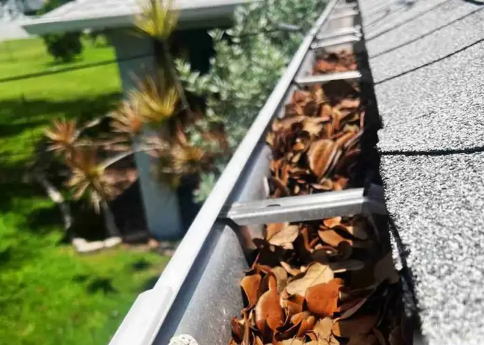 Gutter Cleaning Hillview home page